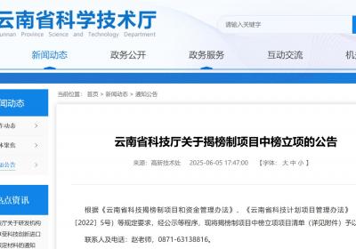 云南省揭榜制项目中榜立项项目公示