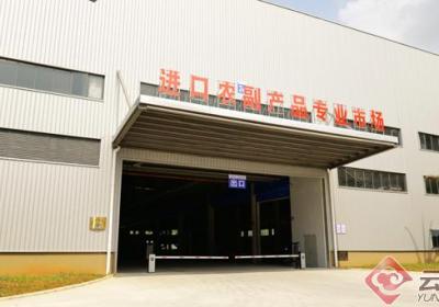 德宏瑞丽：创新口岸通关新模式 激发口岸经济新活力