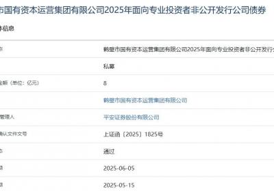 鹤壁国资集团拟发行8亿元公司债，获上交所通过