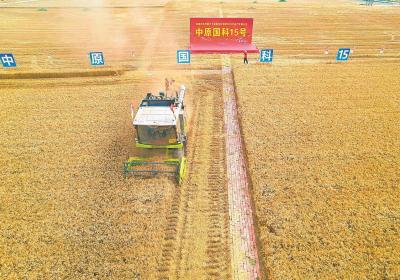 全省小麦抢收基本结束