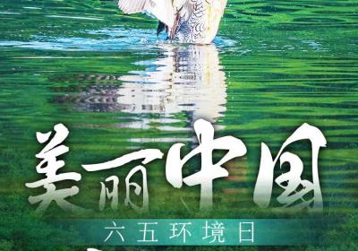 海报·世界环境日｜美丽中国我先行！