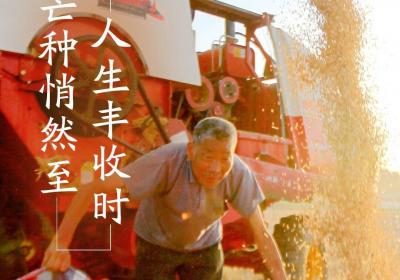 闪电海报丨芒种忙种，愿你的忙，始于热爱，结于丰盈