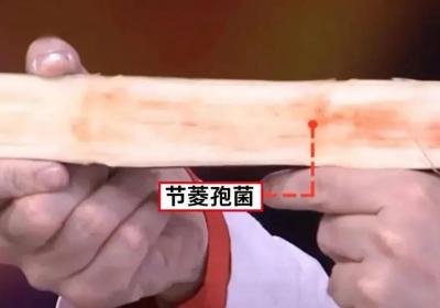 这些水果还能吃吗？鉴定指南，快转给咱爸妈！