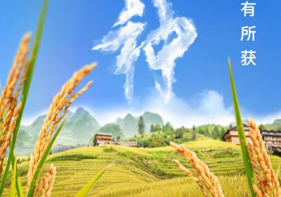 芒种节气小知识来了 夏种作物都有什么？