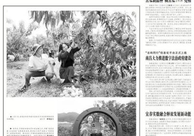 农旅融合 桃李飘香