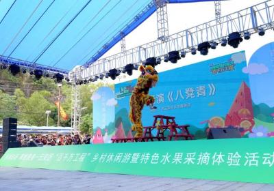 网络强村｜一起摘西瓜！云浮云安农文旅融合助力“百千万工程”