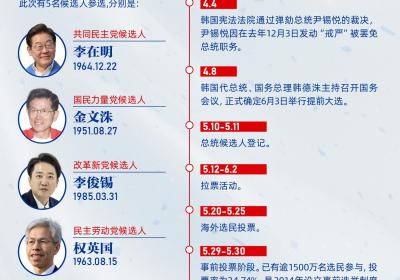 韩国大选解析：一图速览关键要点