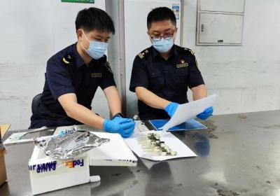 110只！活体蚂蚁藏试管，广州海关全查获