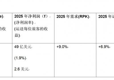 亚太航空公司2025年预计盈利49亿美元，面临多重挑战