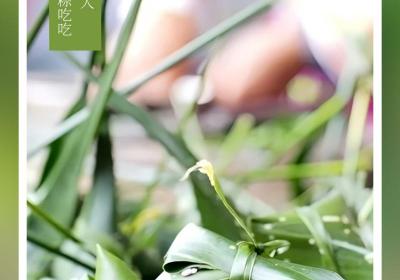 @养生达人 药膳粽来咯！ | 在云南样样好