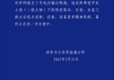 西安警方：进入兵马俑三号坑男子患有精神疾病，已被控制
