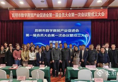 昆明市数字商贸产业促进会成立 构建云品产业新生态