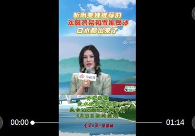 游沈阳 过端午｜听尚雯婕推荐的沈阳鸡架和雪绵豆沙，口水都出来了