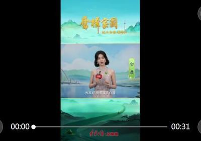 探班 总台2025端午特别节目｜一起出发沈阳，解锁非遗“新玩法”
