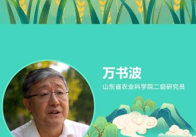 齐鲁大地上的科学追光者：匠心如炬，同筑创新星河