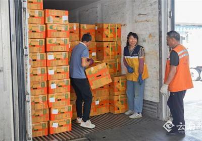 中老铁路助力水果运输 保障端午节市场供应