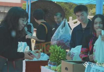 云南绿春“消费帮扶 国土行动”展销会走进云南国资学院
