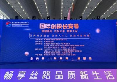 国际连接与未来创投：大唐领域控股长安丝博会专场会议圆满举行