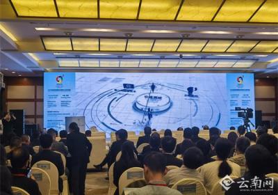 2025年度金砖国家技术转移中心协作会议在昆举办
