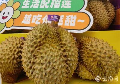 南亚东南亚水果进出口交易集散中心落地昆明