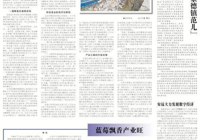 仙女湖区文旅活动带旺消费