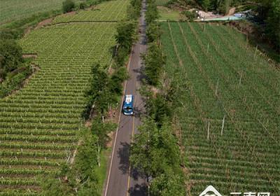 云南景洪：农村公路“升级” 绘就乡村振兴“画卷”