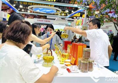 【聚焦深圳文博会】两地“牵手”结硕果 昭通皇菊香飘鹏城