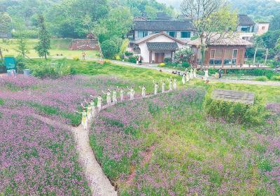 庐江：以花为媒 推进农业与旅游等产业融合发展