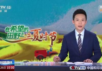 在希望的田野上·三夏时节 河北 小麦大部分长势良好 需重点预防干热风