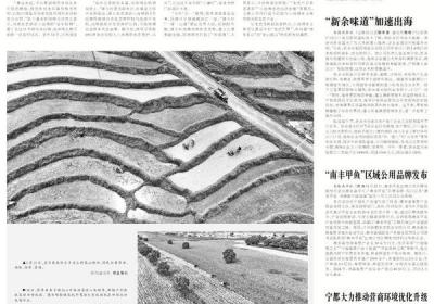 “南丰甲鱼”区域公用品牌发布