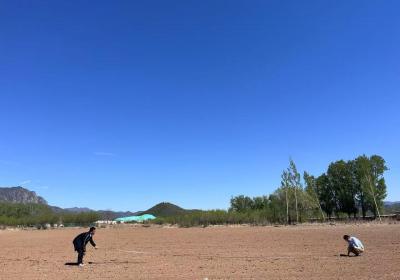 北京市农业技术推广站构建现代化种植技术体系