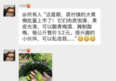 为家乡青梅代言 宁波“90后”小娘变身“水果红娘”