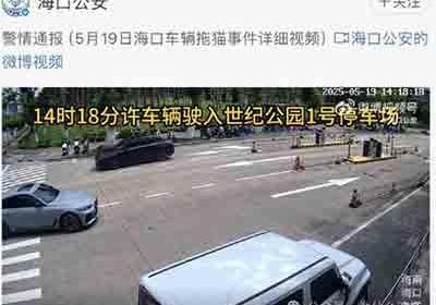 那些因为动物而围攻他人的”人“，真的有”爱心“吗？