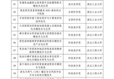 2025年度湖北省科学技术奖励项目公示