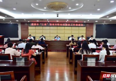 湘潭市推进“三新”领域妇联组织建设工作见成效