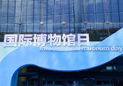 当AI遇上国际博物馆日，来一场十二生肖“文物大比拼”