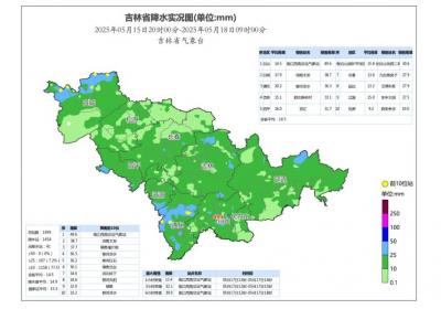 雨雨雨！吉林这些地方还要下雨