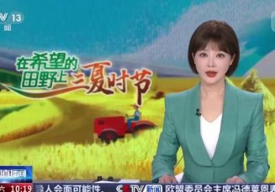 在希望的田野上·三夏时节｜河北廊坊：麦田智慧管理 夏粮丰收在望