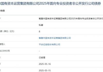 鹤壁国资集团拟发行8亿元公司债，获上交所受理