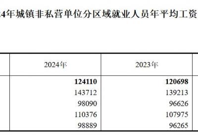 2024年全国城镇非私营单位就业人员年平均工资达124110元，名义增长2.8%