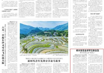 郴州发现全球罕见新血型 稀有程度远超“熊猫血”