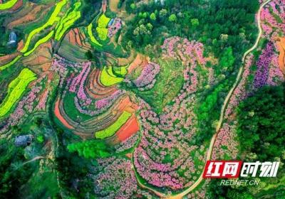 湖南水土流失面积和强度持续“双下降”