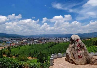 旅居云南丨普洱旅居新“式范”！快来思茅邂逅“茶咖慢生活”
