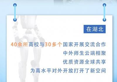 解码全球期待：数字教育如何开辟中国教育发展新赛道