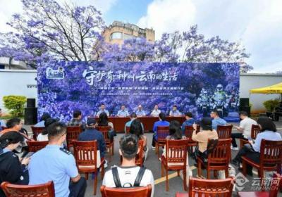 昆明蓝花楹核心赏花区累计接待游客超200万人次 刑事警情零接报