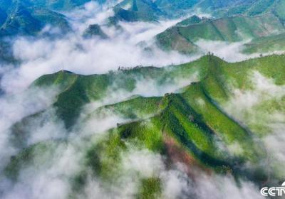 湖南新田：九峰山云海漫卷