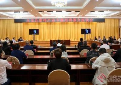 丽江市玉龙县成功举办咖啡产业专题招商推介活动