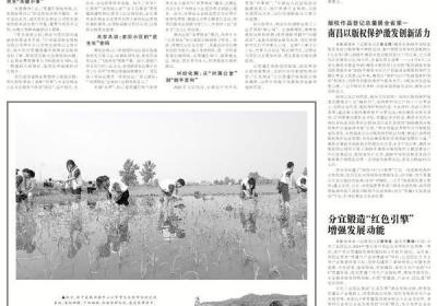 吉州区扎实开展“一表同享”工作