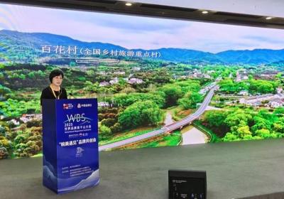 2025世界品牌莫干山大会展示安徽庐江全域旅游建设成果