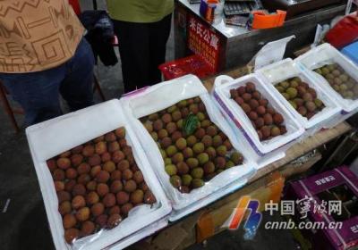 荔枝加速上市 价格已经进入下行通道